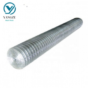 Galvanized Welded Mesh Roll