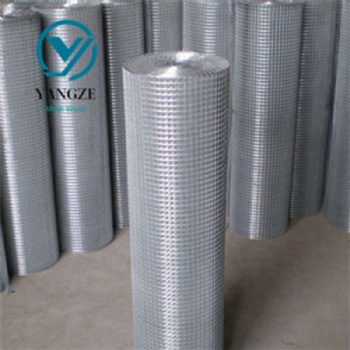 Galvanized Welded Mesh Roll