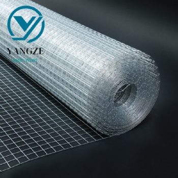 Galvanized Welded Mesh Roll