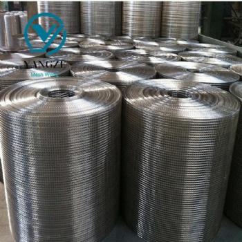 Galvanized Welded Mesh Roll