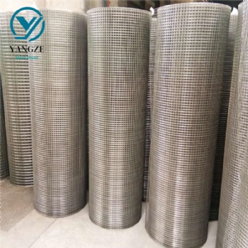 Stainless Steel Welded Mesh